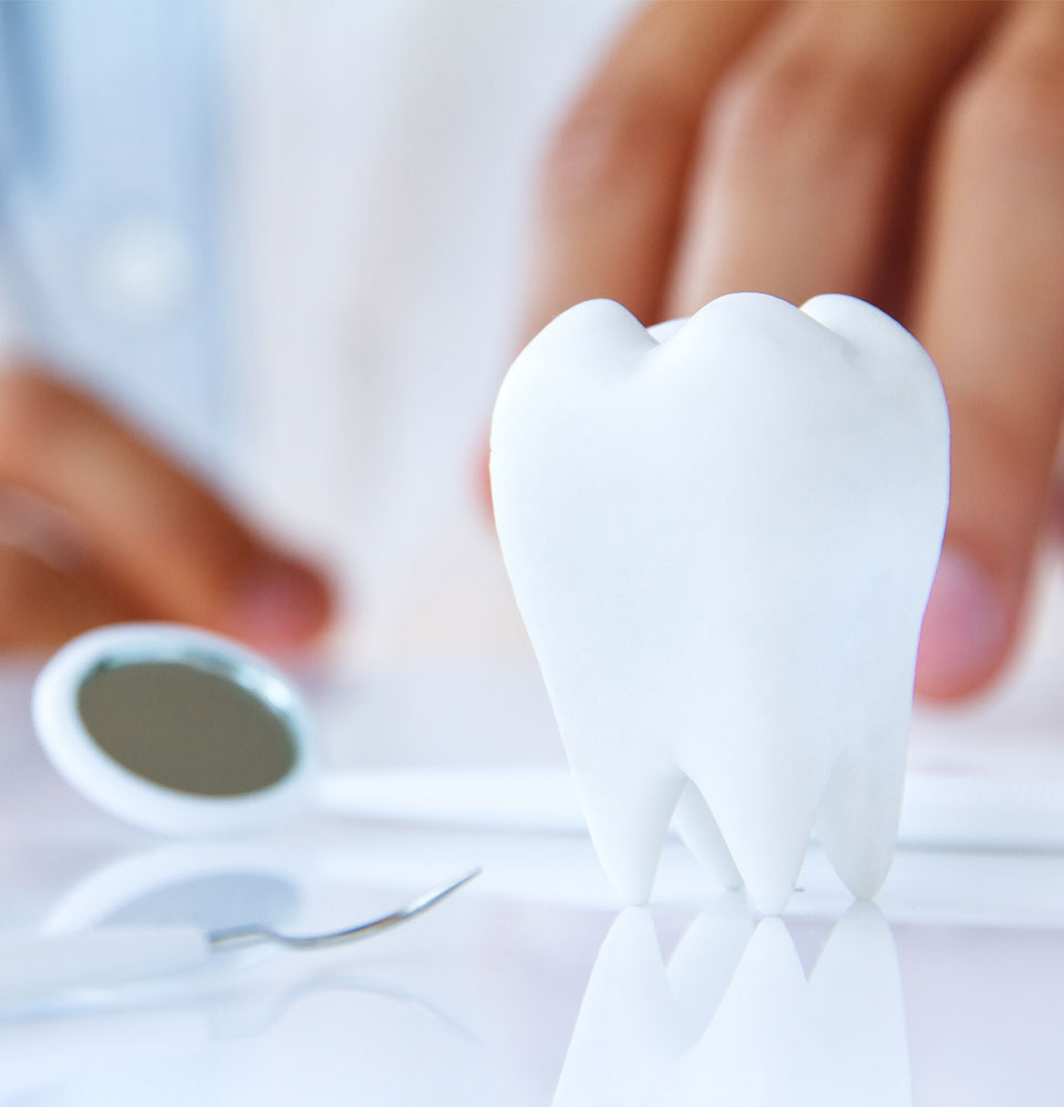 3d tooth and dental tools